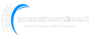 neumaticosenlinea.cl