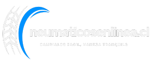 neumaticosenlinea.cl